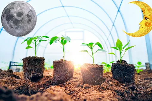 Лунный посевной календарь садовода и огородника на неделю с 10 по 16 апреля 2023 года