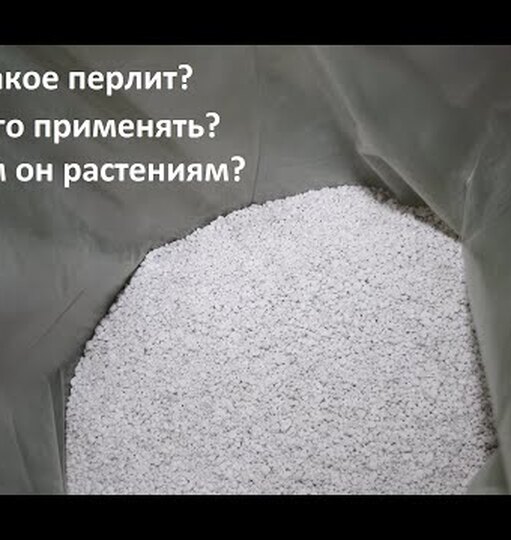 Перлит для домашних растений — все, что нужно о нем знать в одной статье