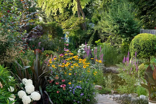 сад с цветами, ландшафтный дизайн фото