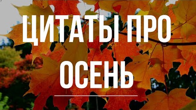 Красивые статусы про осень Стихи об осени великих русских поэтов, писателей, классиков