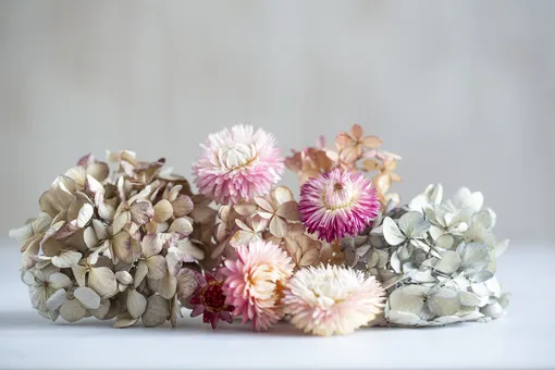Мода на сухоцветы: 5 способов высушить цветы самостоятельно