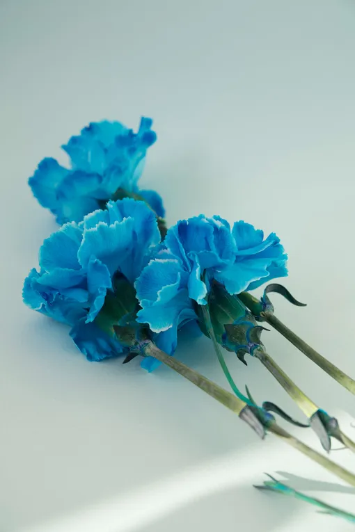 Дешёвые искусственные цветы быстро теряют вид фото
