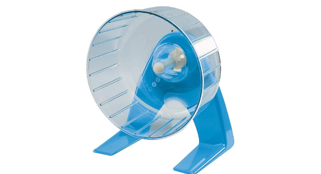 Корма и аксессуары