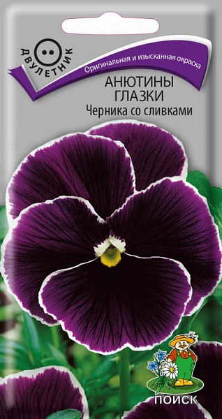 Двулетник Черника со сливками совершенно неприхотлив Двулетник Черника со сливками совершенно неприхотлив