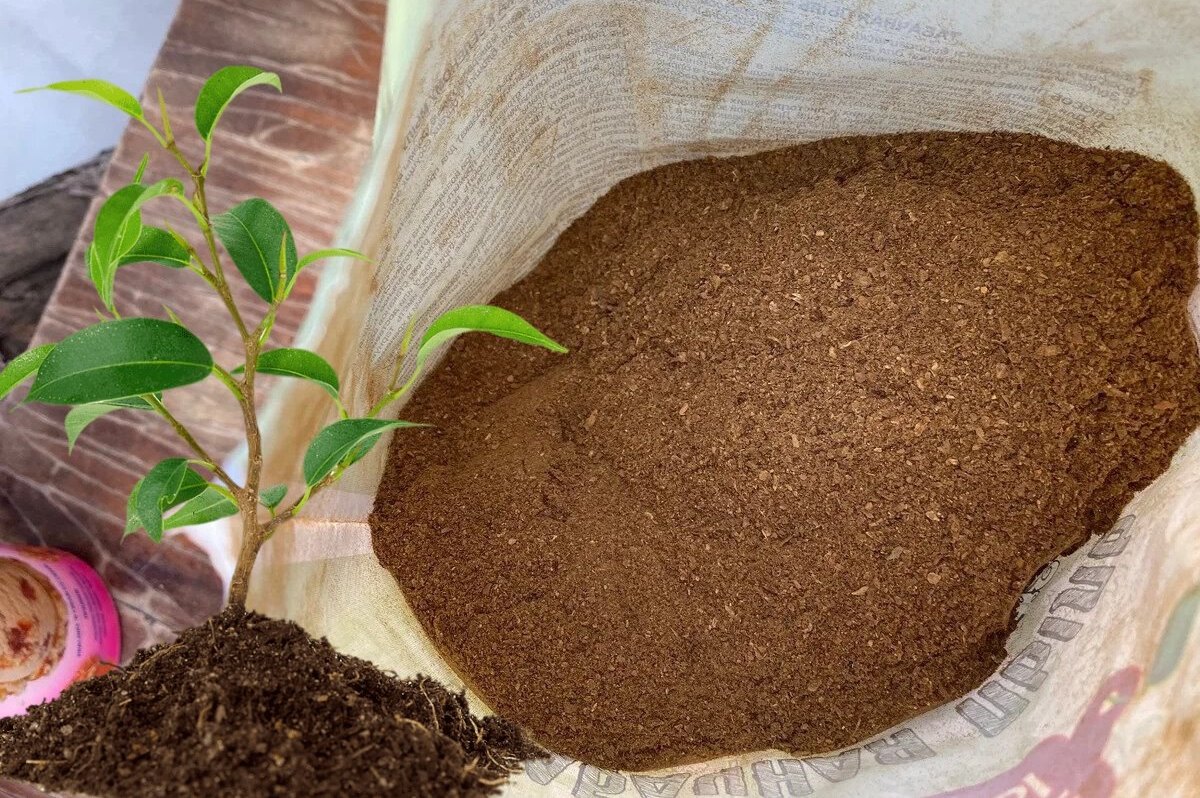 Табачная пыль: применение в садоводстве и на огороде от вредителей, в  качестве удобрения