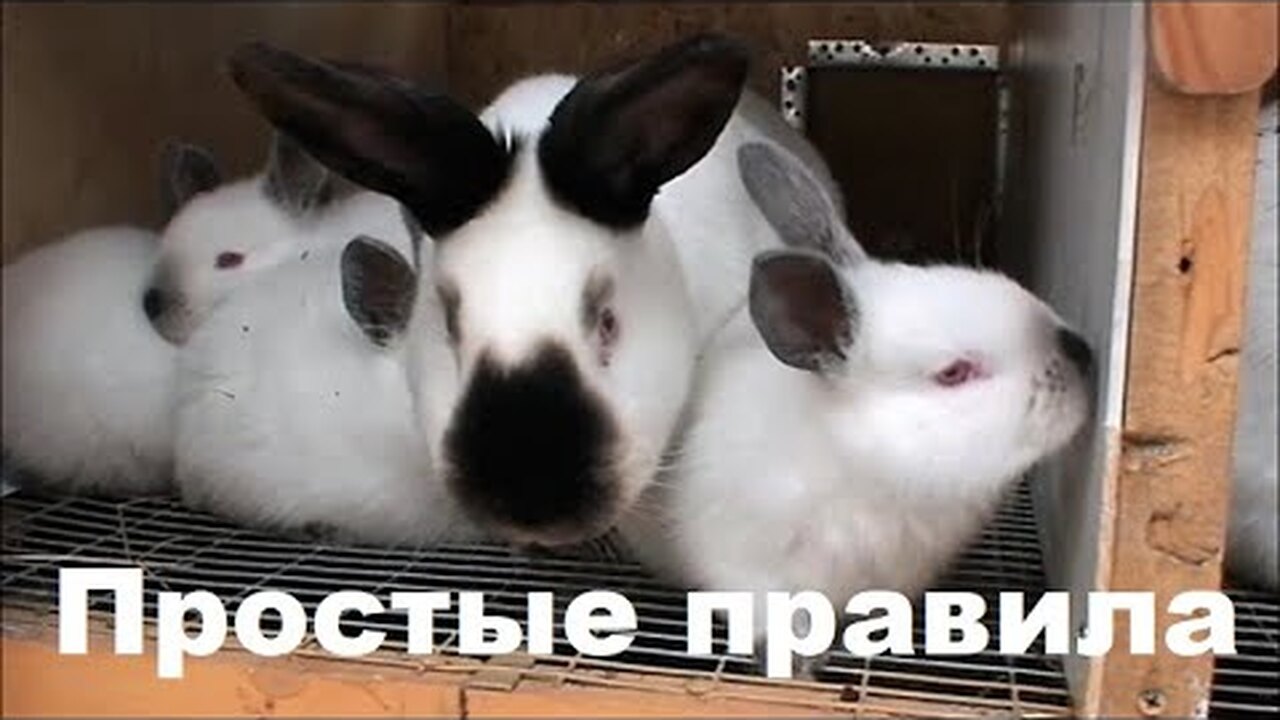 Klikněte a uvidíte