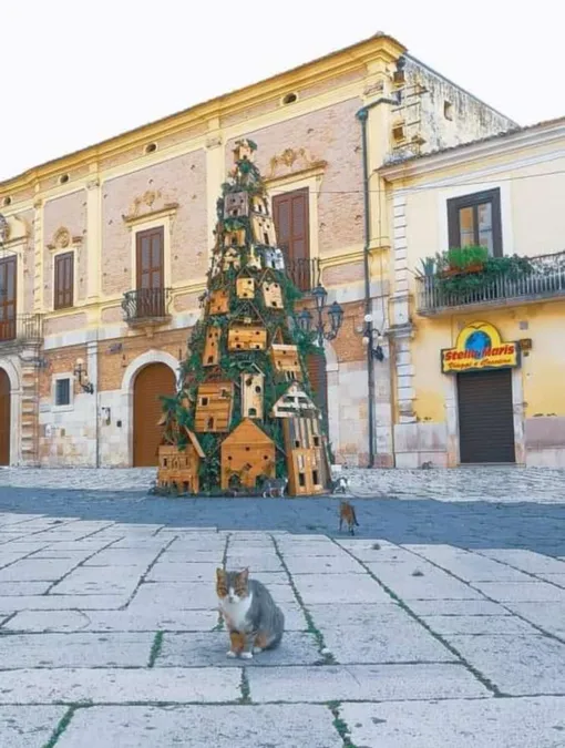 итальянские кошки и елка