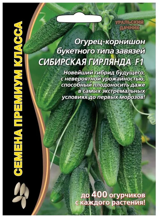 семена огурцов Сибирская гирлянда