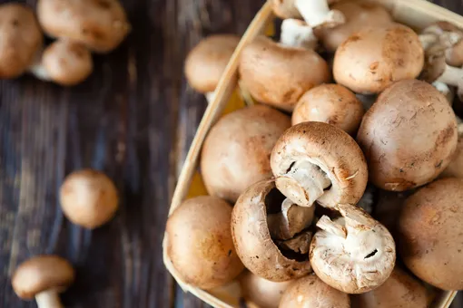 Как выращивать шампиньоны в домашних условиях: вкусные и полезные грибы круглый год