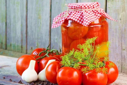 6 лучших сортов томатов для консервирования на зиму: хозяйкам на заметку