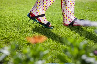 Не подсеивайте траву в лысый газон, пока не узнаете об этих правилах