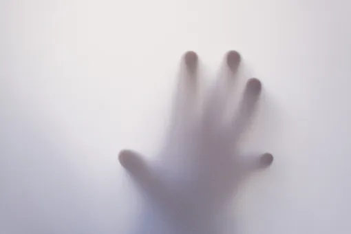 «Рука призрака» на старом фото вызвала споры в сети