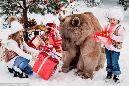 Красота требует риска? Московская пара позволила детям играть с медведем ради эффектной съемки