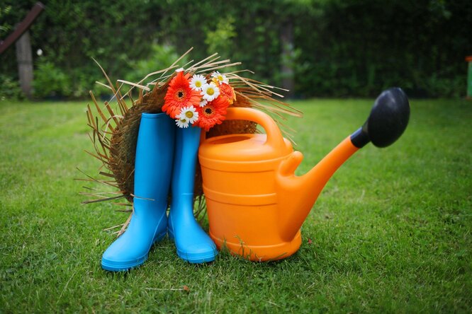 Советы для начинающего огородника: как сделать грядку и что на ней посадить