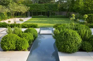 Какие растения выбрать для современного сада в минималистическом стиле: идеальное сочетание простоты и практичности