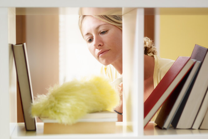 Что такое пипидастр: волшебный помощник или бесполезная в хозяйстве вещь?