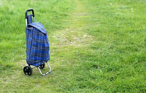 сумка с колесиками стоит на газоне