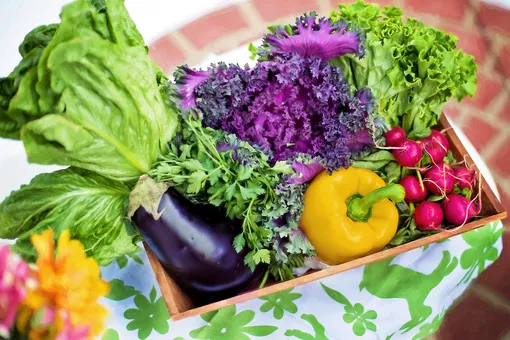 Как избавиться от нитратов и пестицидов в овощах и фруктах?