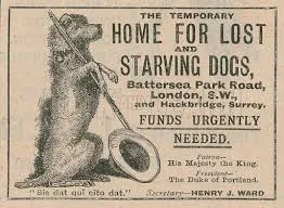 English: 1901 advert for Battersea dogs home founded by Mary Tealby