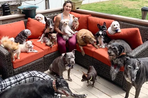 Пара потратила 55 тысяч долларов на дом для собак с особыми потребностями