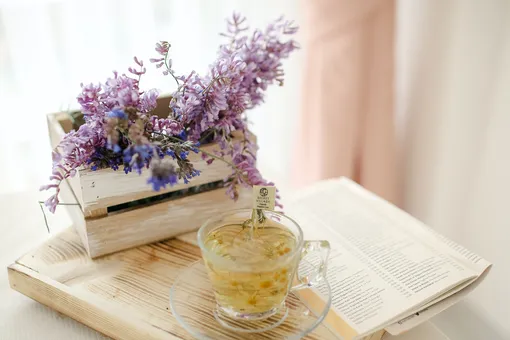 10 растений, которые можно и нужно заваривать вместо чая