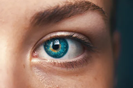 Что цвет глаз говорит о характере человеке? Проверьте, нет ли ошибки в описании