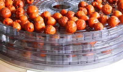 Разложить ягоды на ярусах электросушилки. Сушить около 4 часов, периодически проверяя готовность плодов.