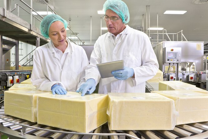 Как производители «скрывают» в молочке растительные жиры? Итоги расследования Роскачества
