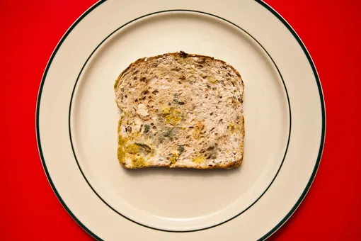Что будет, если случайно съесть заплесневелый хлеб и другие продукты?