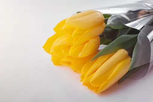 Какие тюльпаны выбрать