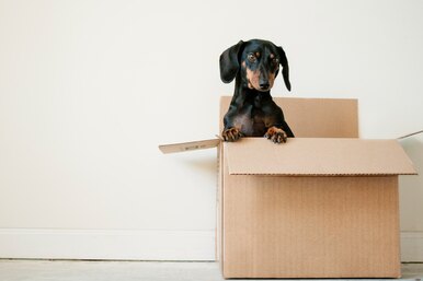 Секрет комфортного переезда: упакуйте эти две коробки