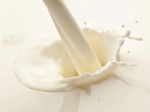 Молоко должно быть насыщенного белого цвета или с кремовым оттенком.