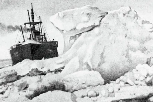 Женщины во льдах: три главные полярницы в истории крушения «Челюскина»