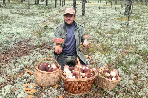 Последний шанс грибника: сезон «тихой охоты» стихийно продолжается