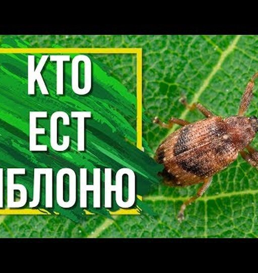 Klikněte a uvidíte