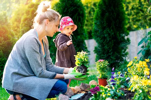 Как садоводство спасает психику и помогает кишечнику?