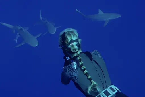 «Плавала, уцепившись за плавник»: 8 фактов о «заклинательнице акул» Оушен Рамзи
