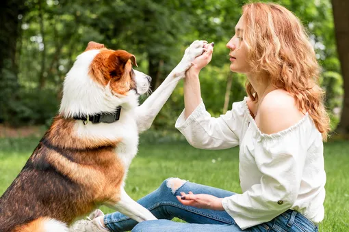 Не просто друг: индийский астролог назвал 5 веских причин завести собаку