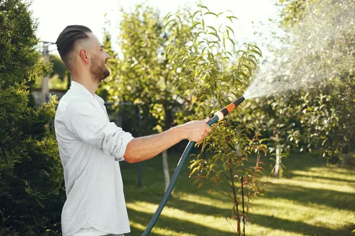 Как правильно поливать и стричь газон