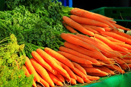После чего сажать морковь на следующий год: сделайте правильный выбор и получите достойный урожай
