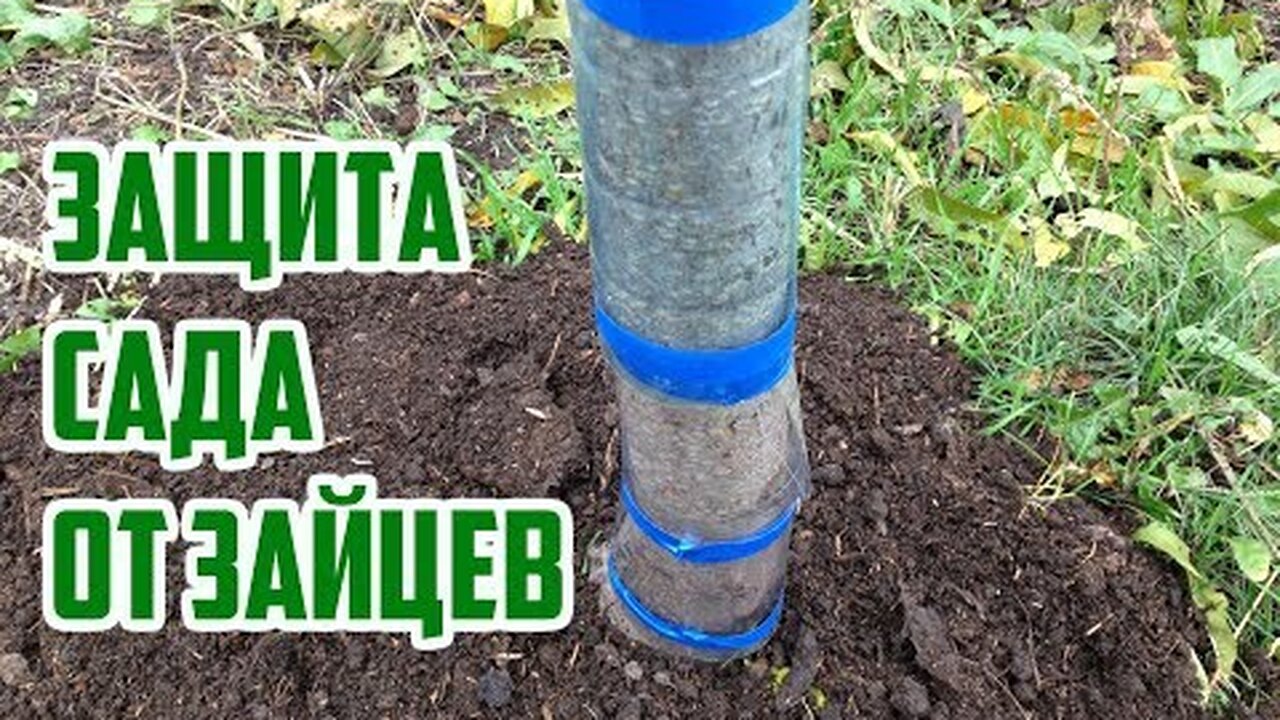 Klikněte a uvidíte
