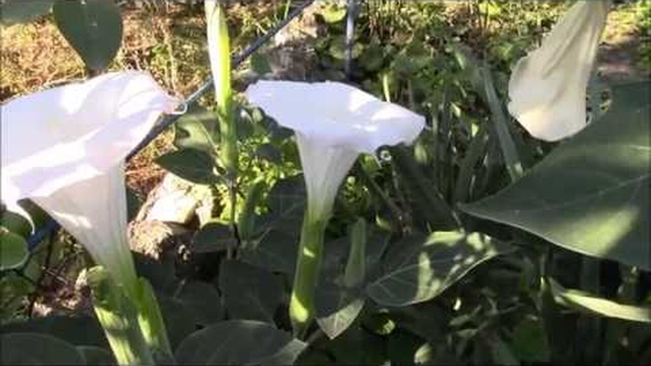 Klikněte a uvidíte