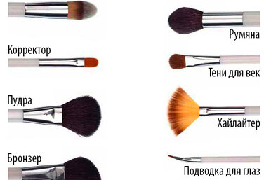 Кисти для макияжа: полный гид по выбору и уходу