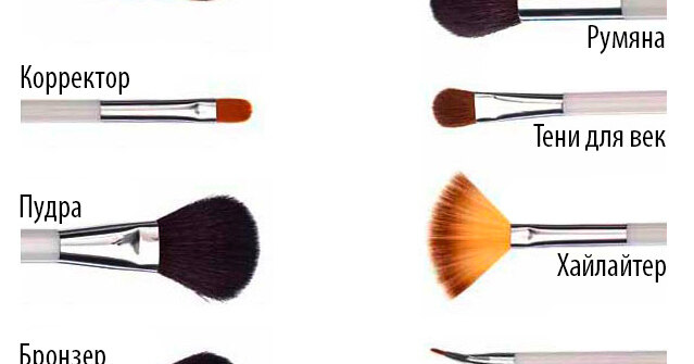 Кисти для макияжа: полный гид по выбору и уходу