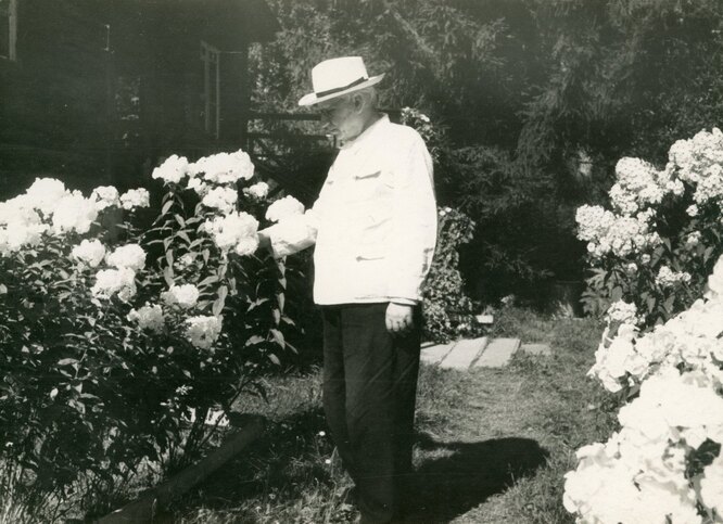 Николай Ракицкий в своём саду в Тарусе