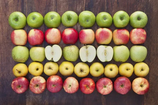 Разные сорта яблок — разные сроки сбора урожая