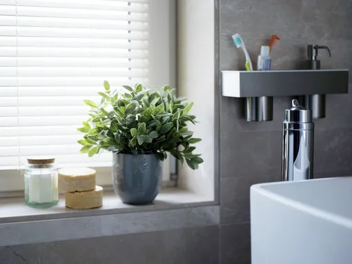 Техника безопасности размещения растений в ванной комнате