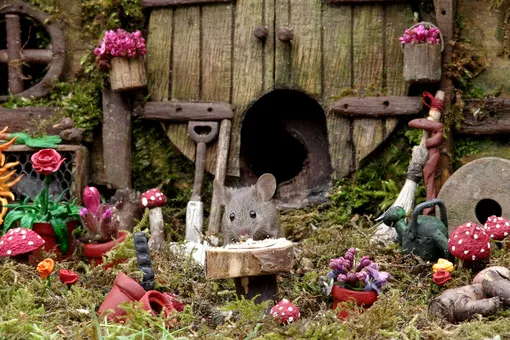 Это сказка: мужчина построил хоббичий домик для мыши в своём саду