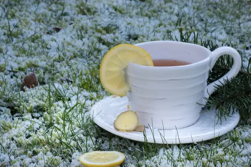 Чай с лимоном в чашке на траве