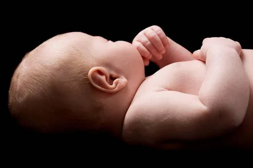 новорожденный фото, младенец фото
